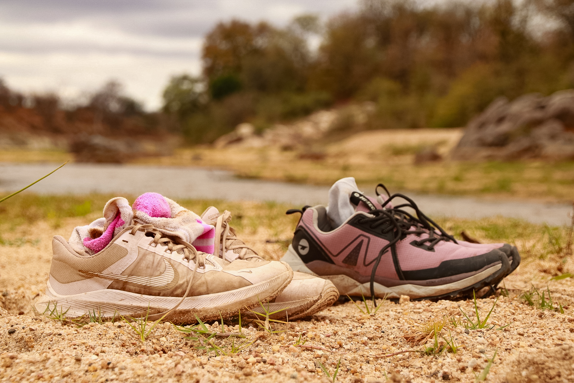 Conservation and education initiative in Klaserie Private Nature Reserve supporting girls’ education in rural Africa