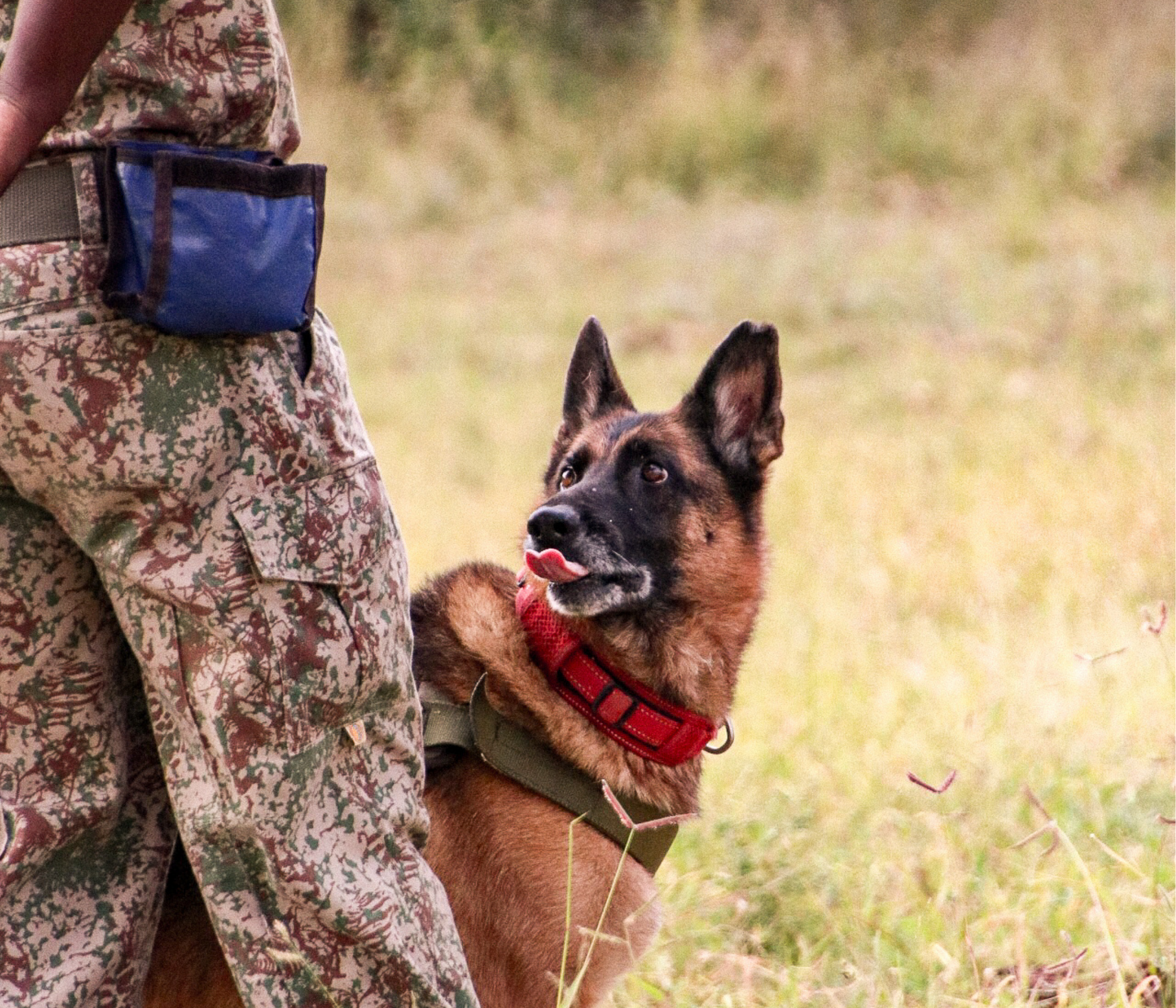Corporate event integrating conservation strategy and purpose-led travel experiences in Africa highlighting sustainability, community impact and luxury experiential design