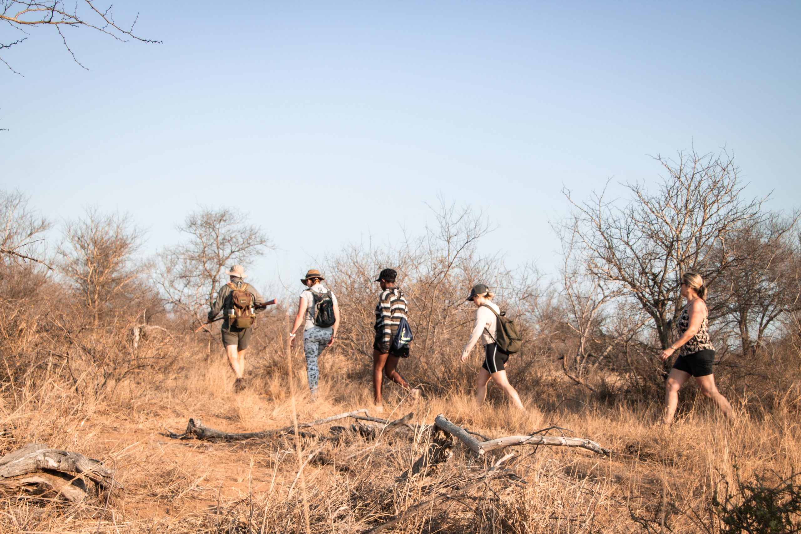 Conservation and education initiative in Klaserie Private Nature Reserve supporting girls’ education in rural Africa