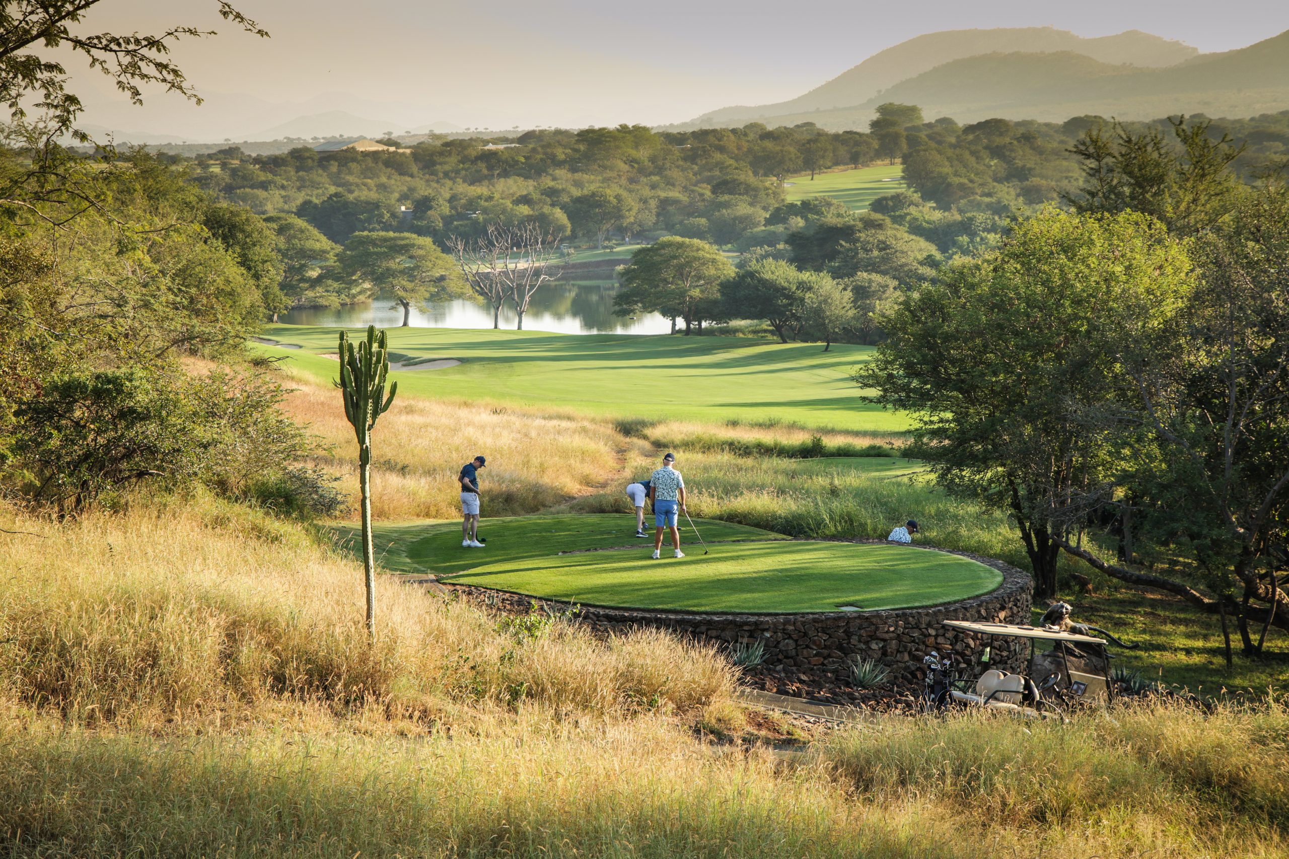 Exclusive invitation-only executive corporate gathering designed by MSM Experiences showcasing high-level networking, luxury hospitality and curated business experiences in South Africa