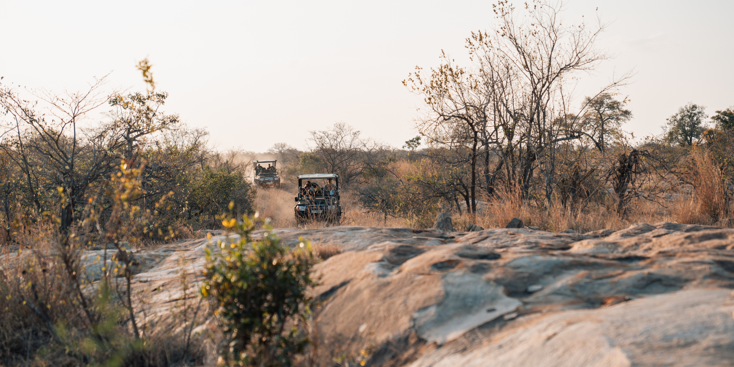 Strategic leadership retreats in the bushveld for executive clarity
