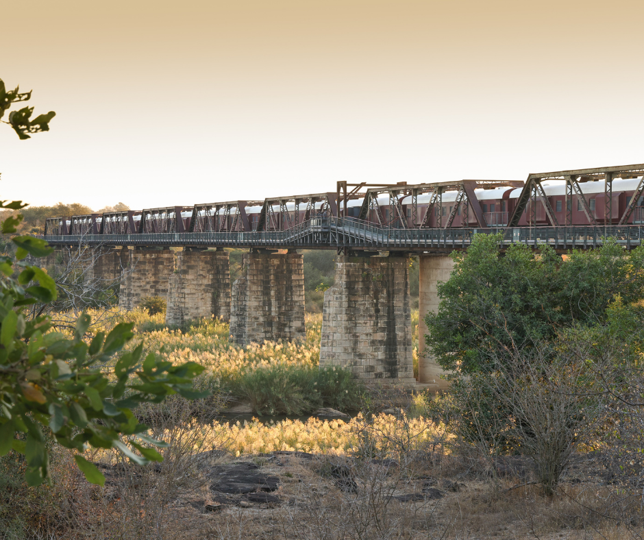 Executive corporate retreat in Kruger National Park