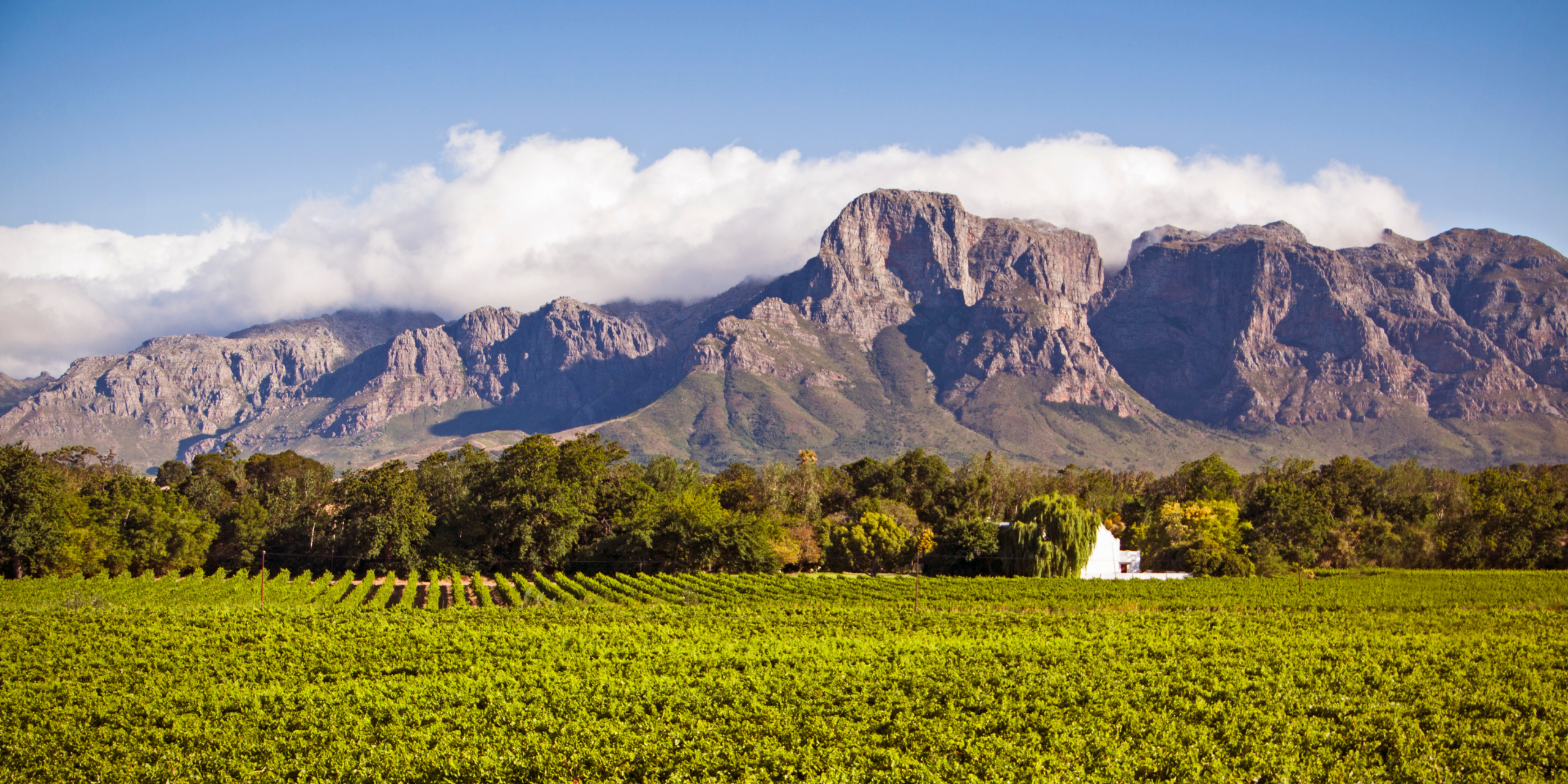 Executive corporate event in the Cape Winelands surrounded by vineyards and mountains